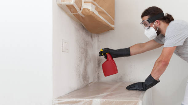 Professional Mold Remediation technician working in Winchester, IL