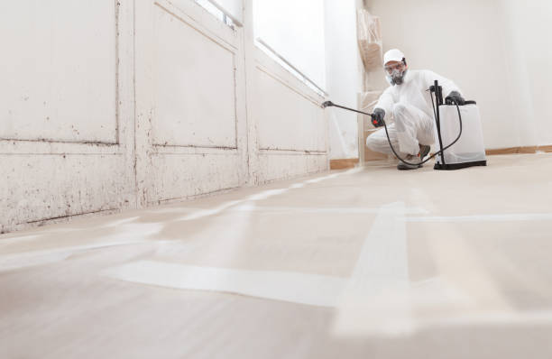 24/7 Emergency Mold Remediation experts in Winchester, IL
