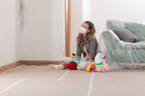 Reliable Mold Remediation contractor in Winchester, IL by Cheap Mold Removal